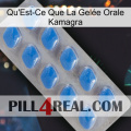 What Is Kamagra Oral Jelly 22